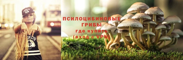 мяу мяу кристалл Коряжма