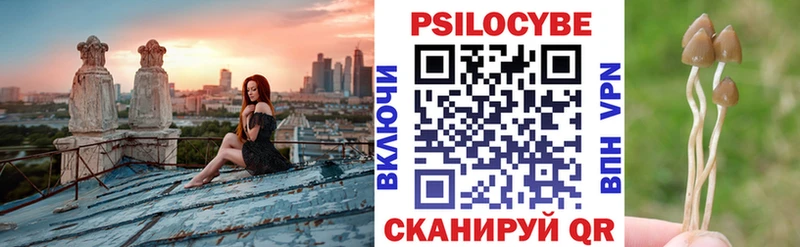 Купить  Покров  Псилоцибиновые грибы мухоморы 